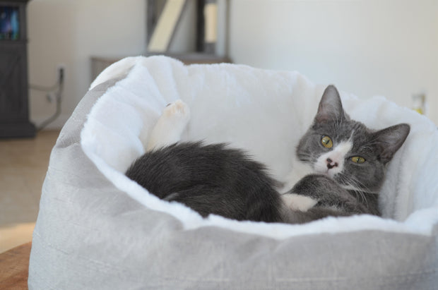 Pet Bed Sleeping Bag
