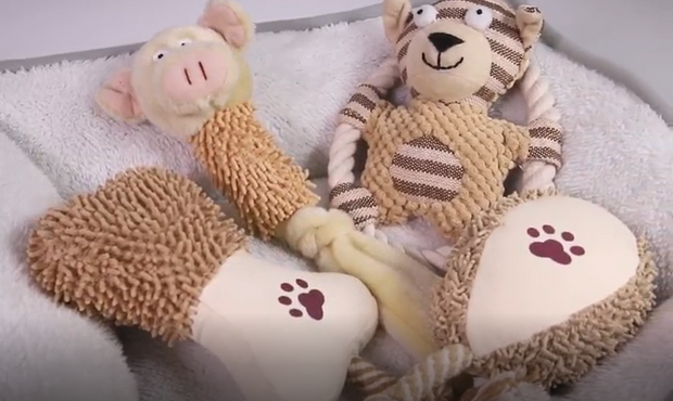 6 pack Adorable Dog Toys