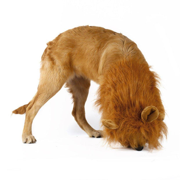 lion mane wig dog costume