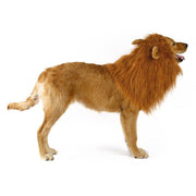 lion mane wig dog costume