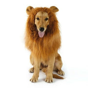 lion mane wig dog costume