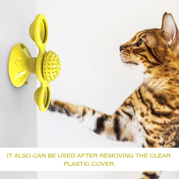 Cats Whirling LED Turntable Toy
