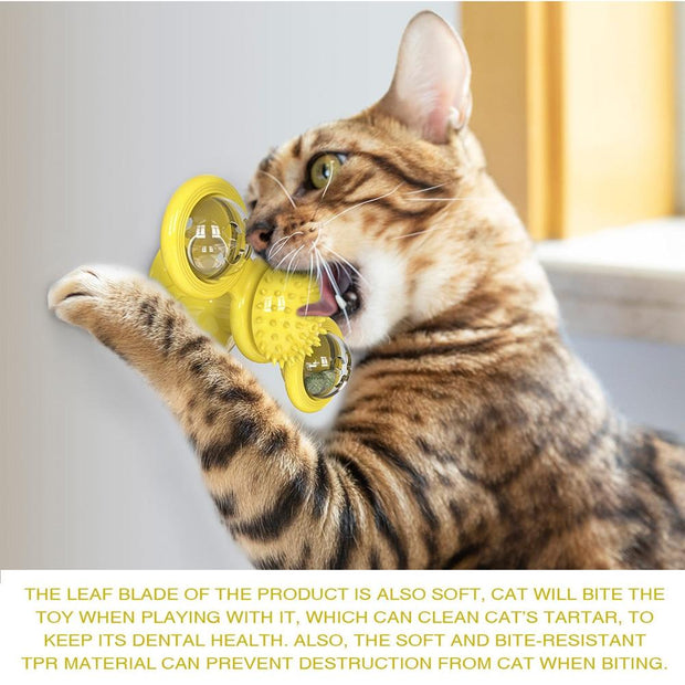 Cats Whirling LED Turntable Toy