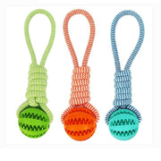 Rubber Ball Chew Toy with Cotton Rope | Dog Toy