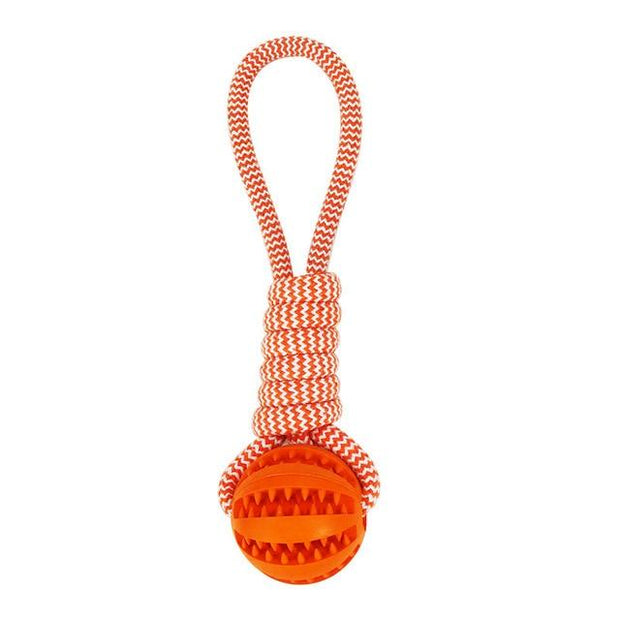 Rubber Ball Chew Toy with Cotton Rope | Dog Toy