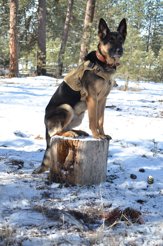 Tactical Dog Harness