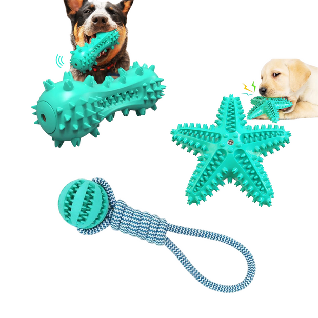 3 Pack Squeaky Dog Toothbrush Toys