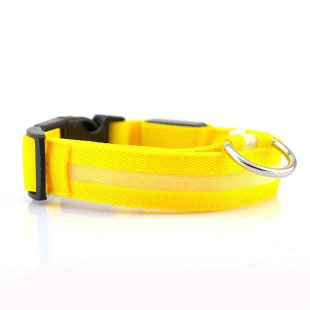 Pet LED Collar (USB Rechargeable)